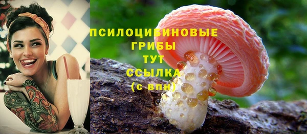 Альфа ПВП Алзамай