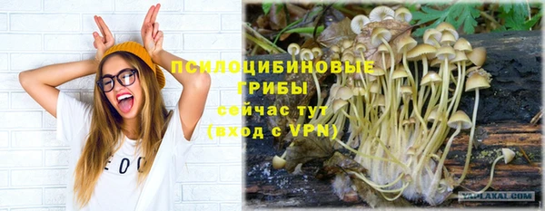 Альфа ПВП Алзамай
