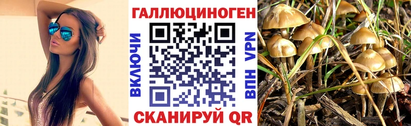 Галлюциногенные грибы Magic Shrooms  Навашино 