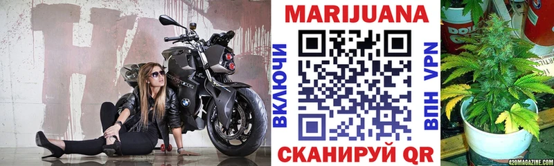 Бошки марихуана конопля Навашино